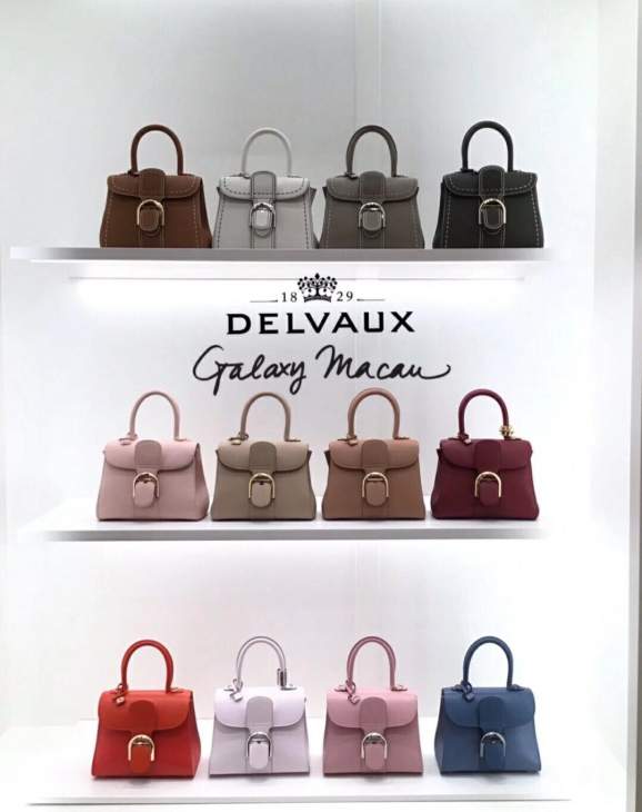 Picture of Delvaux Handbags _SKUfw176137231fw